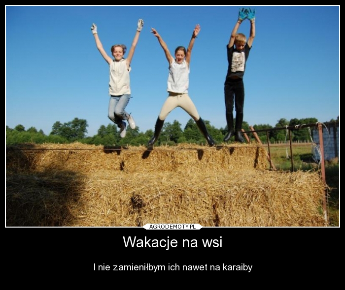 Podczas Wakacji Spędzonych Na Wsi Fryderyk Wakacje na wsi
