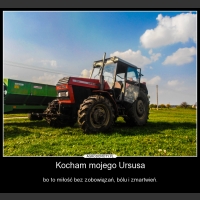 Kocham mojego Ursusa